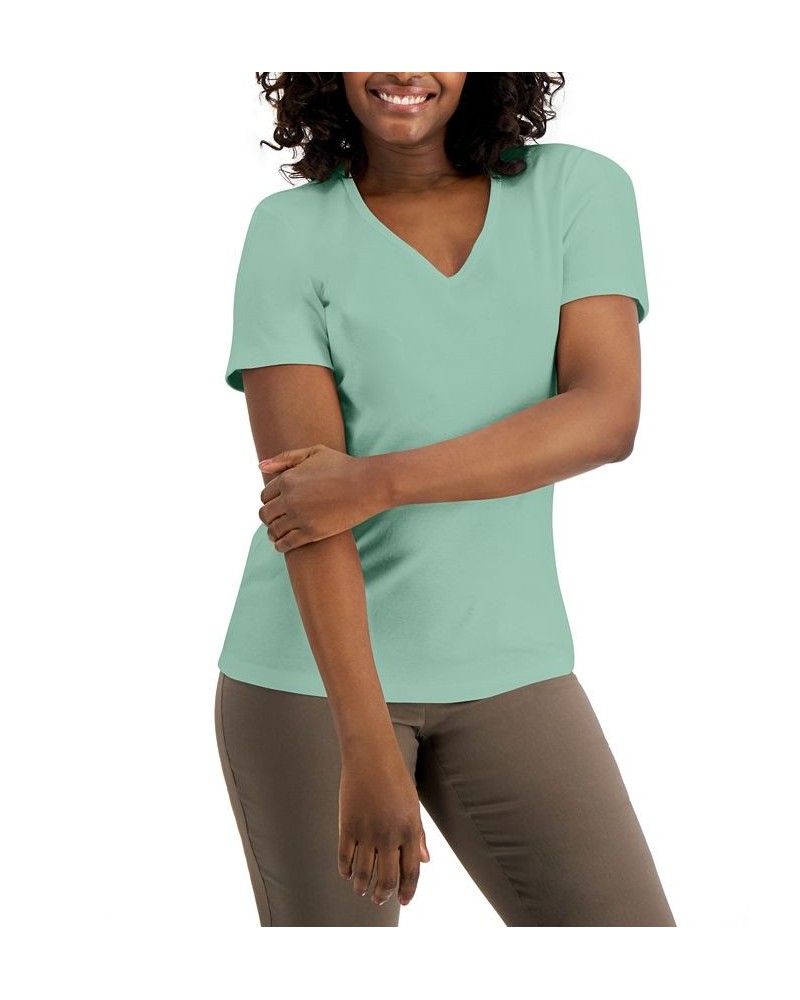 Cotton V-Neck Top Antique Mint $9.87 Tops